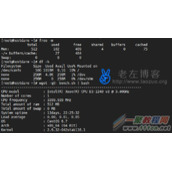 HostDare洛杉矶VPS主机性能、速度和稳定性个人体验记录