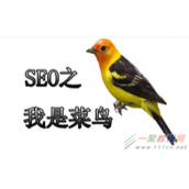 网站域名会不会影响seo优化  怎么影响的