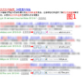 不带www的百度快照排名好经验分享