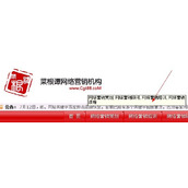 优化搜索引擎排名之立竿见影必杀技