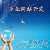 对于开发网站的前途分析