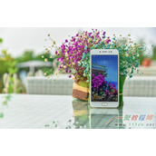 为什么有很多人看不起OPPO和vivo？