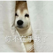 你已经没有在乎的人了吗是什么梗 你已经没有在乎的人了吗是什么意思