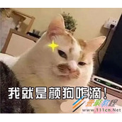 猋是什么梗 猋是什么意思