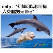 enfp是什么梗 enfp是什么意思