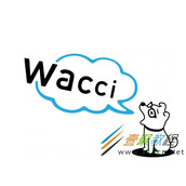 wacci是什么梗 wacci是什么意思