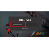 Fedora如何设置打开新终端时默认打开新标签页 Fedora设置打开新终端时默认打开新标签页方法