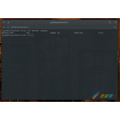在Linux上安装和使用Docker的方法
