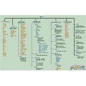 Linux文件目录结构(小白版)