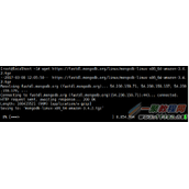 Mongodb在Linux环境下的部署