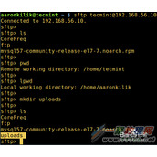 Linux 中使用 sFTP怎么上传或下载文件夹