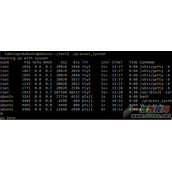Linux怎么启动新进程  启动方法