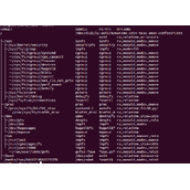 Linux系统下findmnt命令使用全解