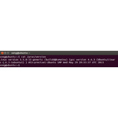 Linux系统中查询发行版本号以及内核版本的命令总结