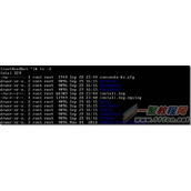 Linux中ls命令的参数与返回结果完全解析