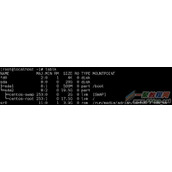 Linux下使用blkid命令查询设备及文件系统信息的方法
