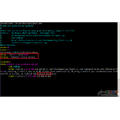 XenServer中VMware的Console的连接方法