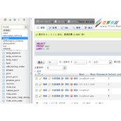 xampp修改mysql默认密码详解