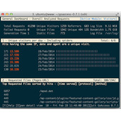 centos中安装GoAccess分析nginx日志