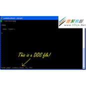 /usr/local/php/bin/php^M: bad interpreter: No such file or directory