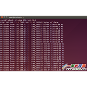 Ubuntu14.04无线网络很慢问题解决办法