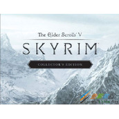 Win8.1玩上古卷轴5天际会出现闪屏怎么解决