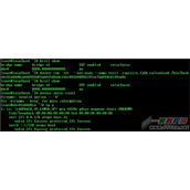 Docker容器固定IP分配详解