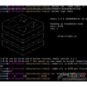 Docker之利用 Dockerfile构建 Redis 服务的教程