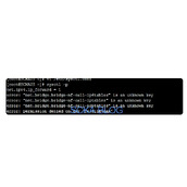Centos 6下修改sysctl.conf后报错的问题