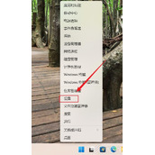 win11如何设置触摸板右键 win11设置触摸板右键方法
