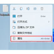 Win11系统txt文件如何加密 Win11系统txt文件加密方法