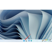 win11电脑硬盘分区形式如何查看 win11电脑硬盘分区形式查看方法