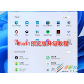 Win11预览版如何升级 Win11预览版升级教程