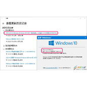 Win10预览版19042.662如何更新 Win10预览版19042.662更新方法