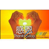 感谢别人的句子有哪些  经典感谢别人的句子分享