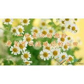 祝福朋友幸福快乐的句子