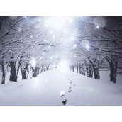 冬天注意保暖的祝福语有哪些  经典冬天注意保暖祝福语分享