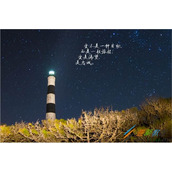 唯美短句有哪些  经典二十字以内唯美短句分享