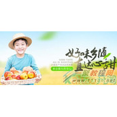 农村淘宝：怎么入驻乡甜农产品平台?