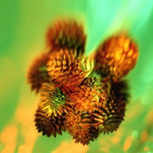 js 超漂亮广告代码