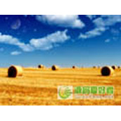 js连续向左图片滚动代码