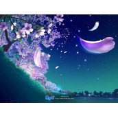 js图片轮换代码