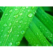 javascript非常个性的图片展示放大展示效果