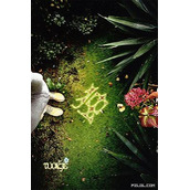 最新qq非主流签名档图片