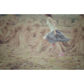 非主流伤感女生日志