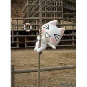 最新时尚非主流空间签名档