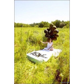 爱情签名-玫瑰凋谢签名图片