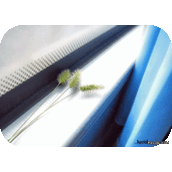 怀旧照片-怀旧感十足素材图片