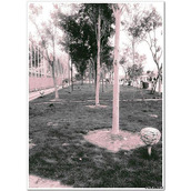 情侣签名-靠近爱空间签名图片