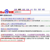 网站关键词排名稳居第一